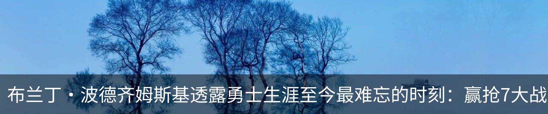新闻动态